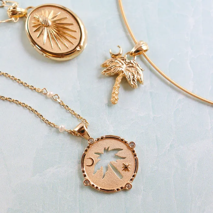 Necklaces Jane Win CHARLESTON Palmetto Cutout Coin Pendant Necklace Jane Win