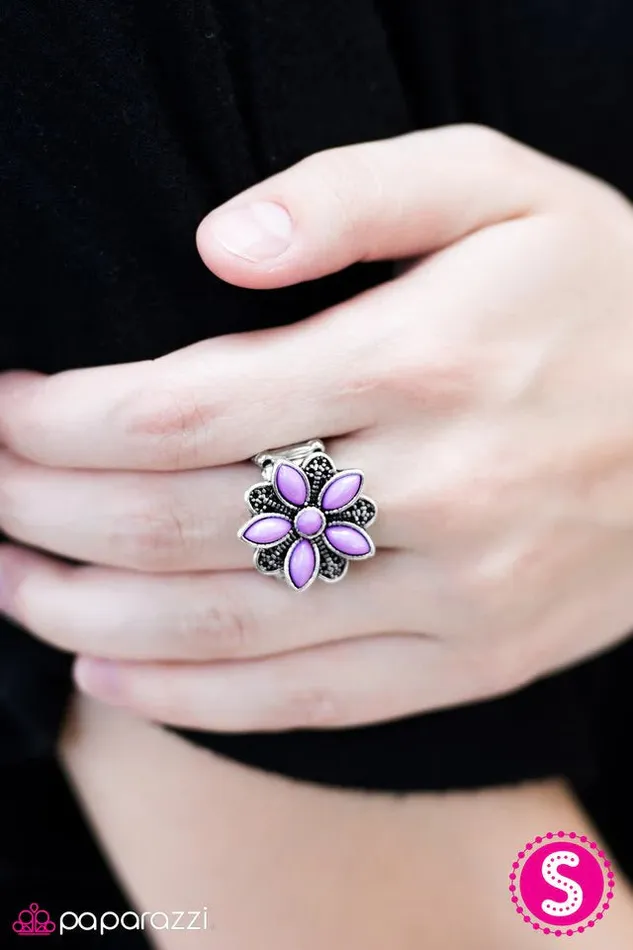 Paparazzi Jewelry Rings Paparazzi Ring How DAISY Is That Purple