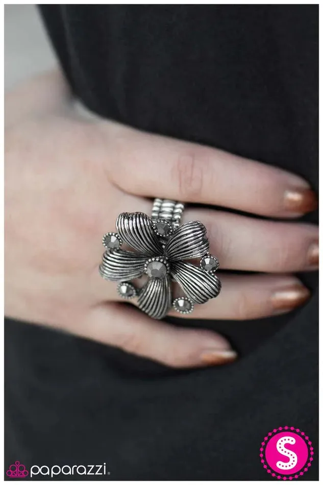 Rings Paparazzi Jewelry Paparazzi Ring Need I Say More Silver