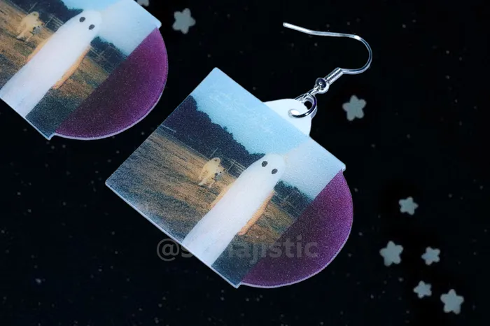 Sam Makes Things Earrings Phoebe Bridgers Stranger in the Alps Vinyl Album Handmade Earrings