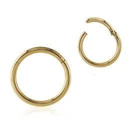 14g Zircon Gold Hinged Segment Ring Tulsa Body Jewelry Rings