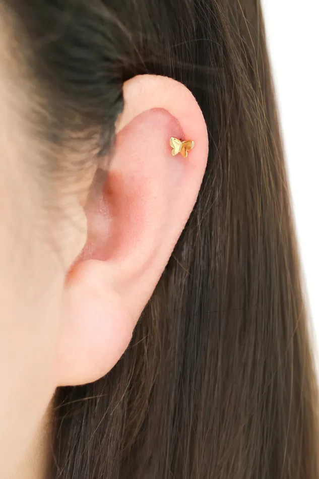 MinimalBijoux Earrings Tiny Butterfly Cartilage earring