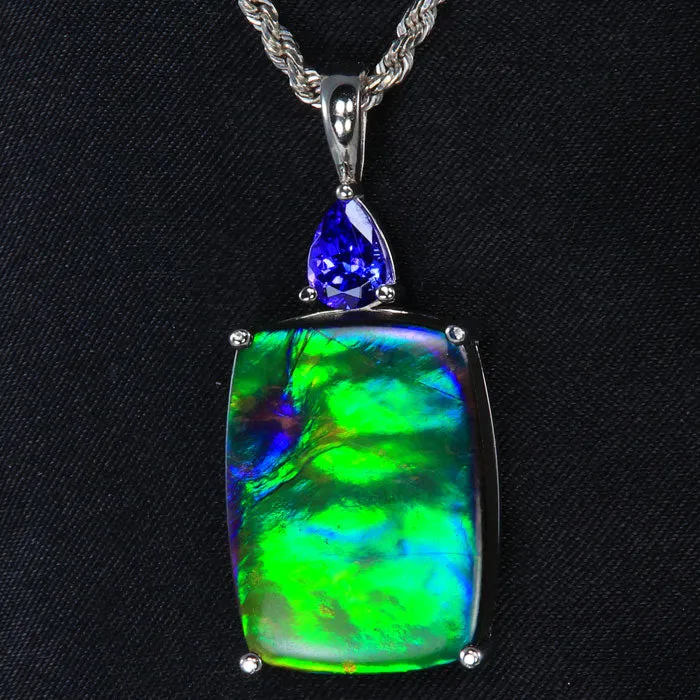 Moriartys Gem Art Necklaces 14k White Gold Ammonite and Tanzanite Pendant 1968 Carats Moriartys Gem Art Necklaces 14k White Gold Ammonite and Tanzanite Pendant 1968 Carats