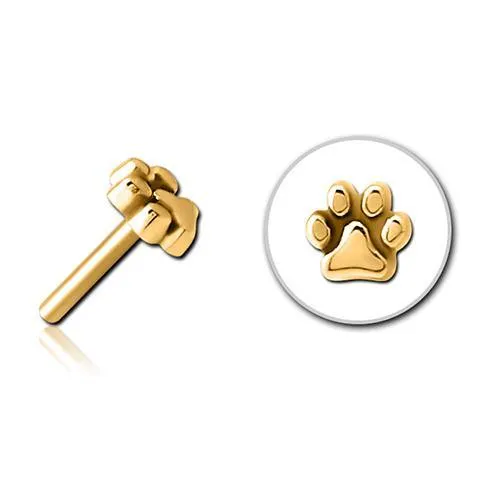 Paw Print Gold Threadless End Tulsa Body Jewelry PreStyled Sets