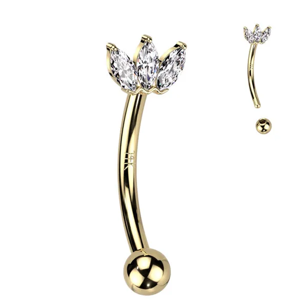 PreStyled Sets Tulsa Body Jewelry Crown CZ Yellow 14k Gold Eyebrow Barbell