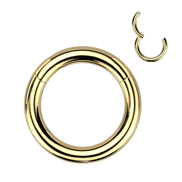 Tulsa Body Jewelry Rings 4g Gold Titanium Hinged Segment Ring